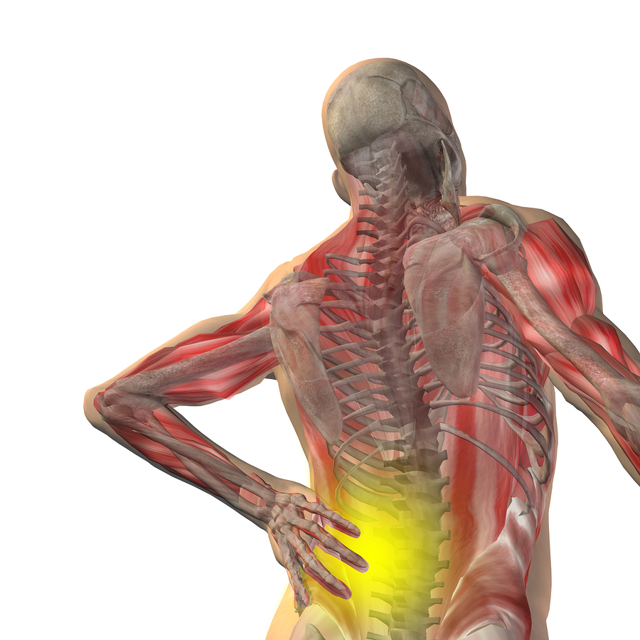 Human back in pain